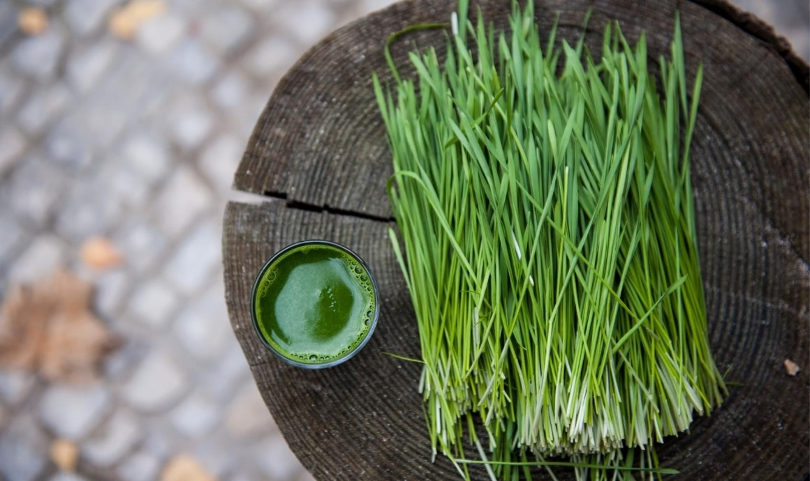 Weizengrassaft aus frischem Weizengras