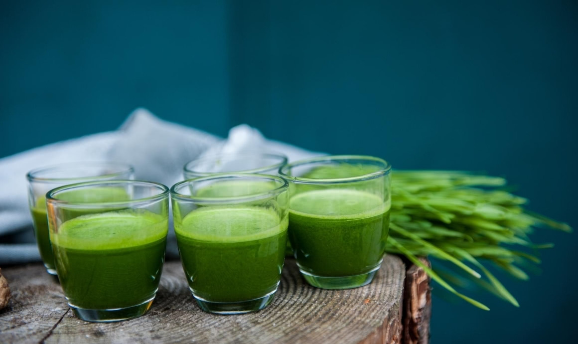 Weizengrassaft im Slow Juicer zubereiten