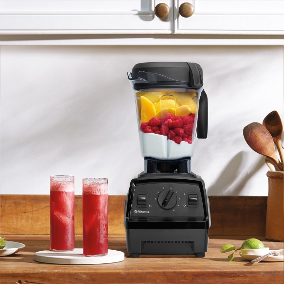 Vitamix E320
