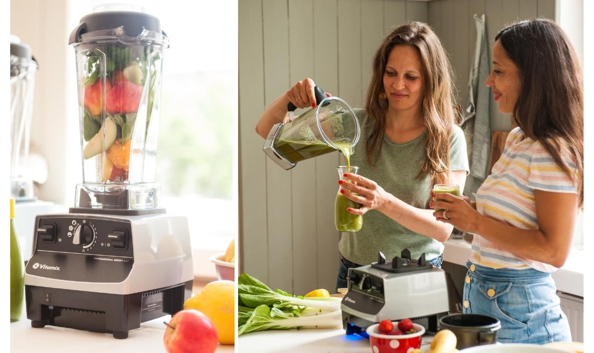 Vitamix Pro 500 in der Farbe Platin Vitamix Pro 500 in der Farbe Platiin